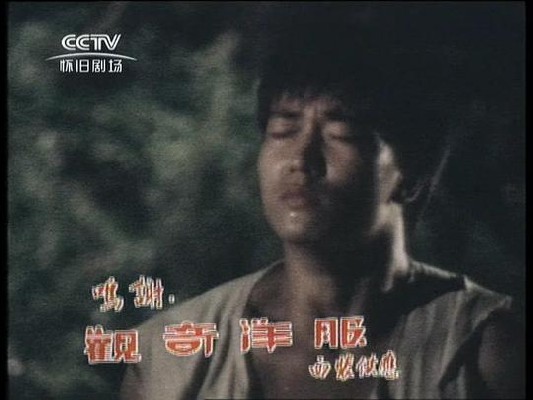 霍东阁国语 图5