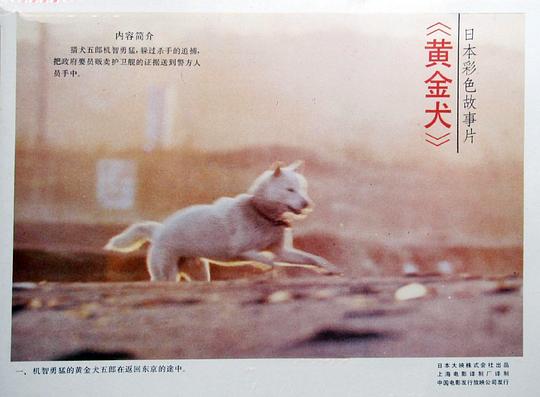 黄金之犬 图1
