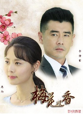梅花儿香 图2