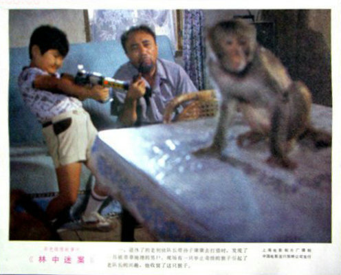 林中迷案 图2