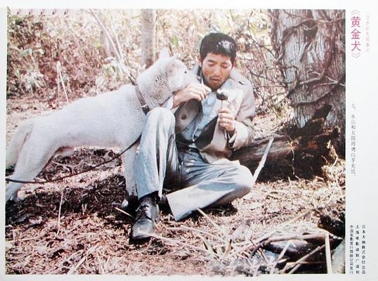 黄金之犬 图4
