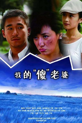 我的傻瓜老婆 图1
