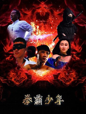 拳霸少年 图1