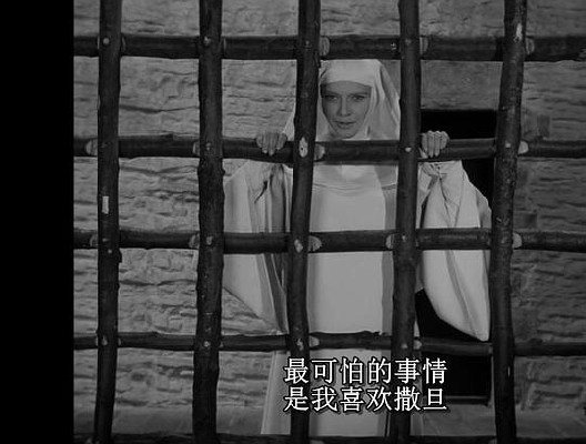 修女乔安娜 图5