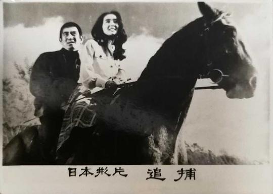 追捕 图4